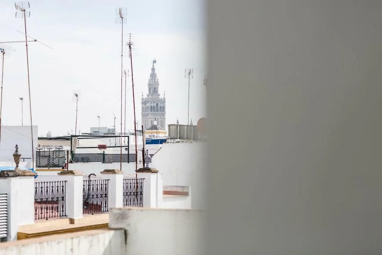 Apartments With Access To Rooftop Terrace Sevilla