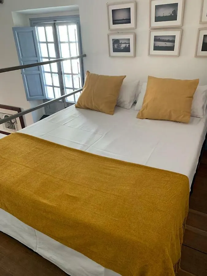 Apartments With Access To Rooftop Terrace Sevilla