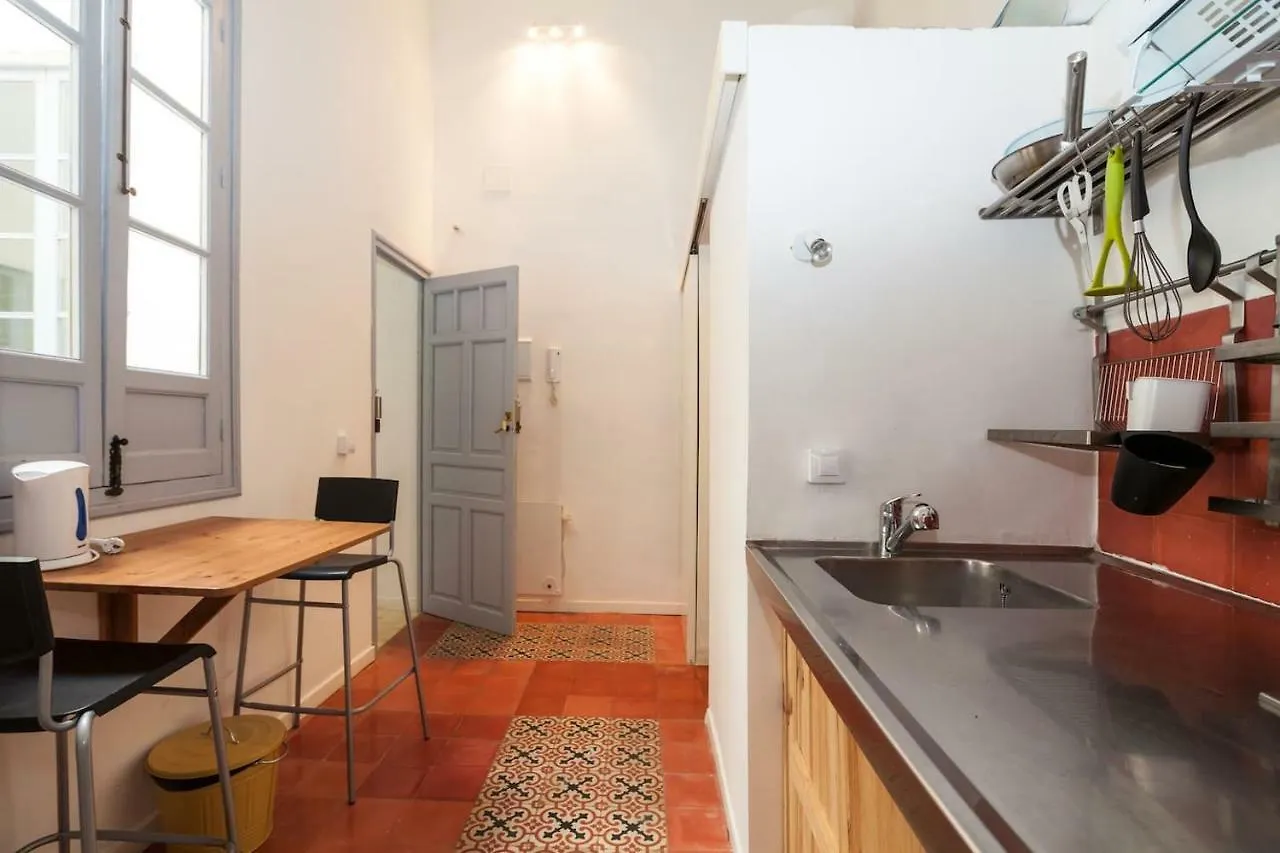 Apartments With Access To Rooftop Terrace Seville