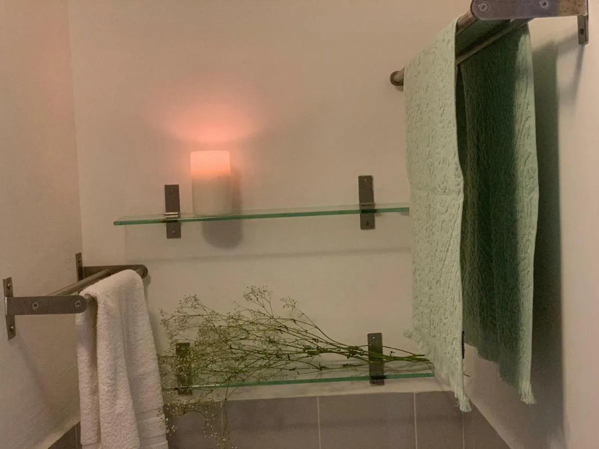 Apartments With Access To Rooftop Terrace Seville