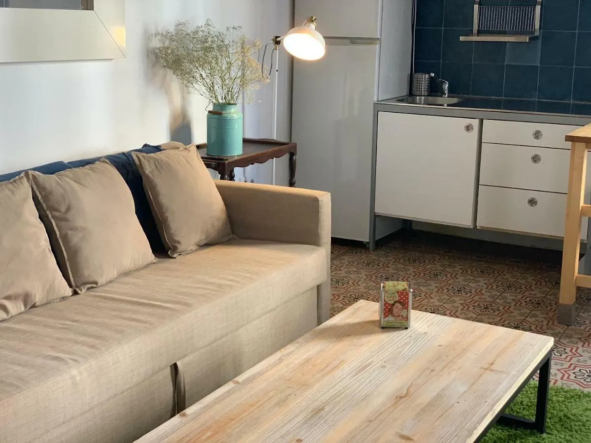 Apartments With Access To Rooftop Terrace Seville