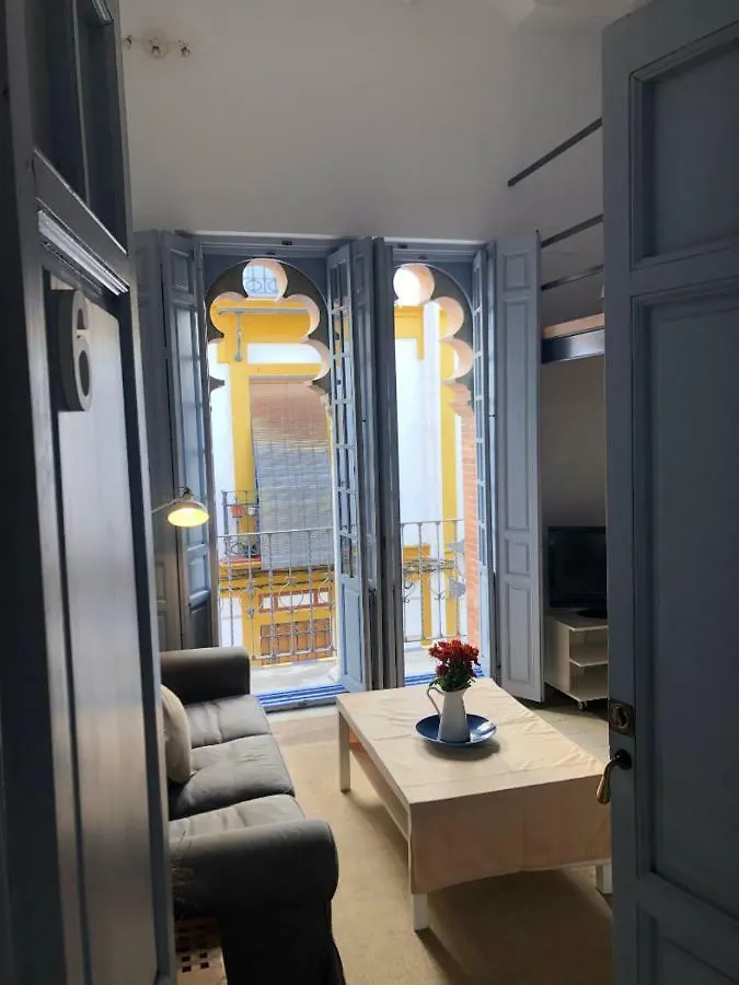 Apartments With Access To Rooftop Terrace Seville