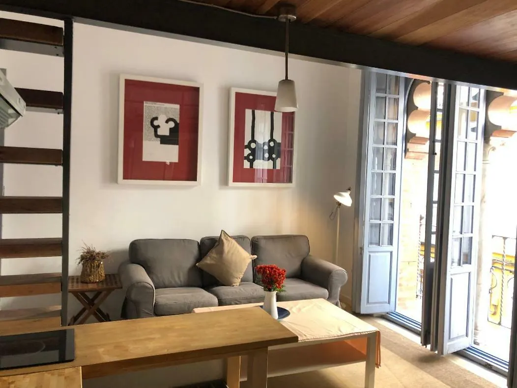 Apartments With Access To Rooftop Terrace Seville
