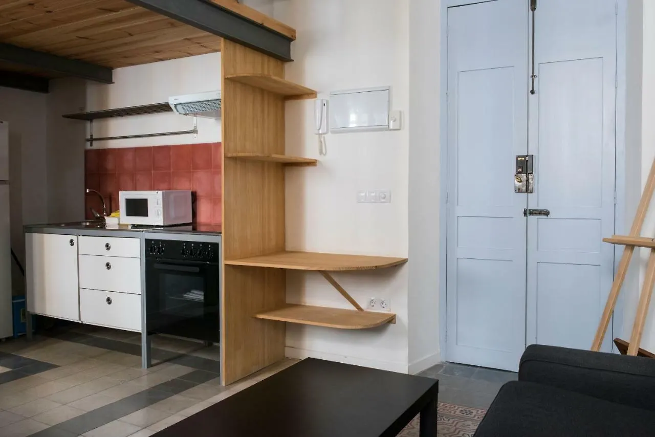 Apartments With Access To Rooftop Terrace Seville