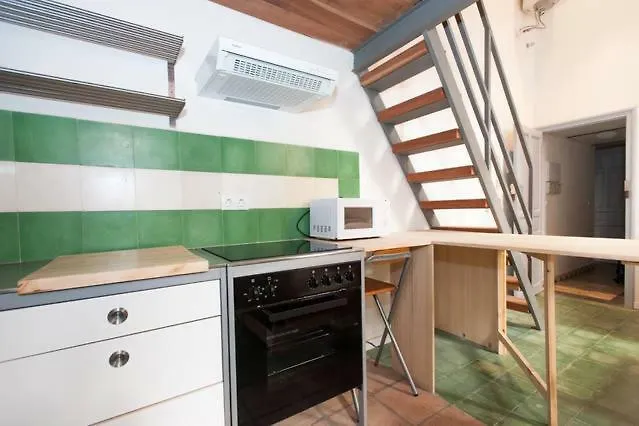 Apartments With Access To Rooftop Terrace Seville
