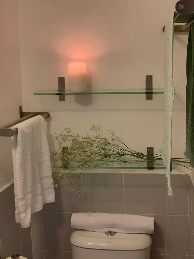 Apartments With Access To Rooftop Terrace Seville Spain