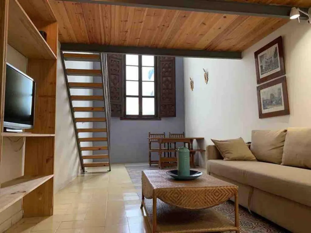 Apartments With Access To Rooftop Terrace Seville