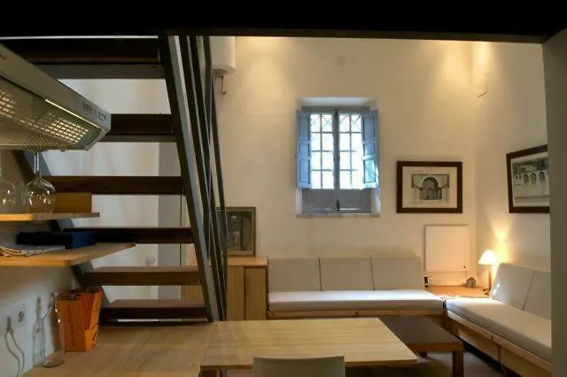 Apartments With Access To Rooftop Terrace Seville