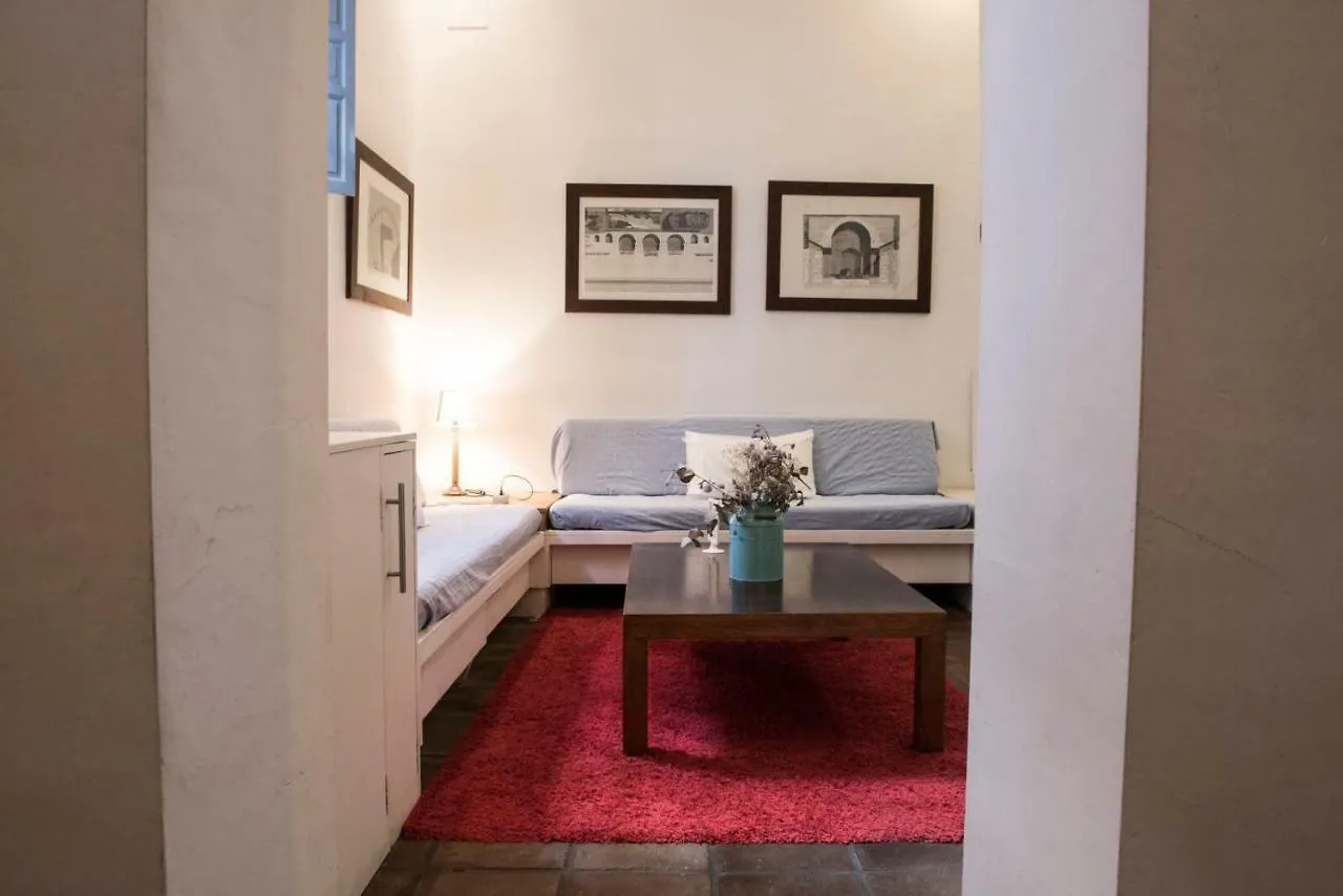 Apartments With Access To Rooftop Terrace Seville