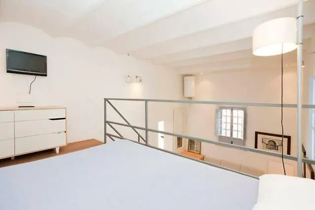 Apartments With Access To Rooftop Terrace Seville