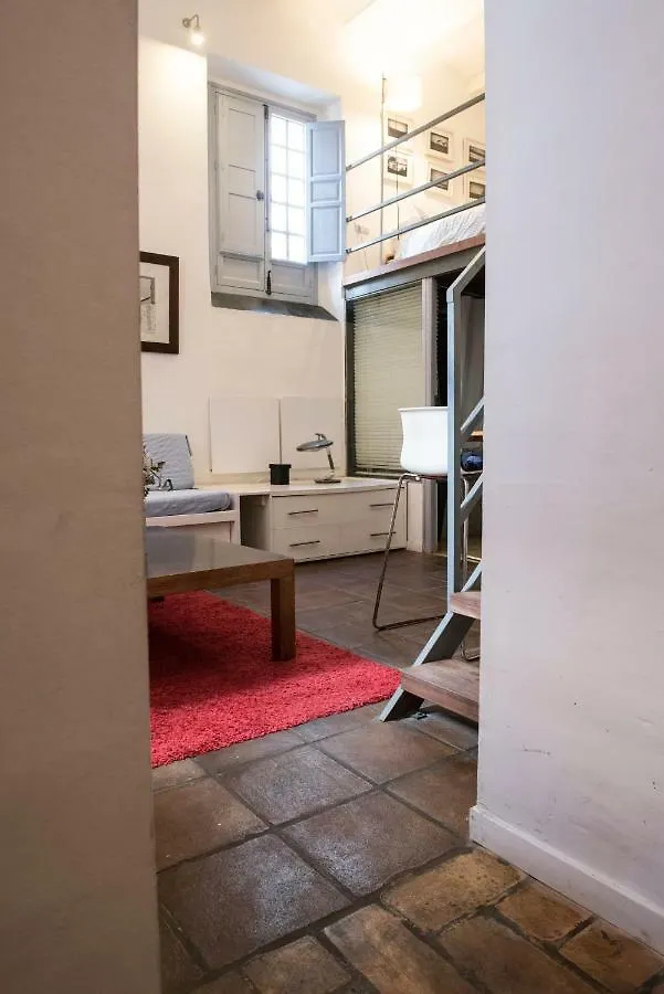 Apartments With Access To Rooftop Terrace Seville