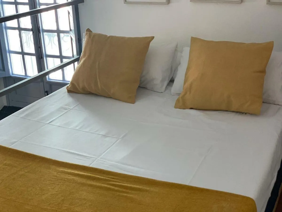 Apartments With Access To Rooftop Terrace Seville
