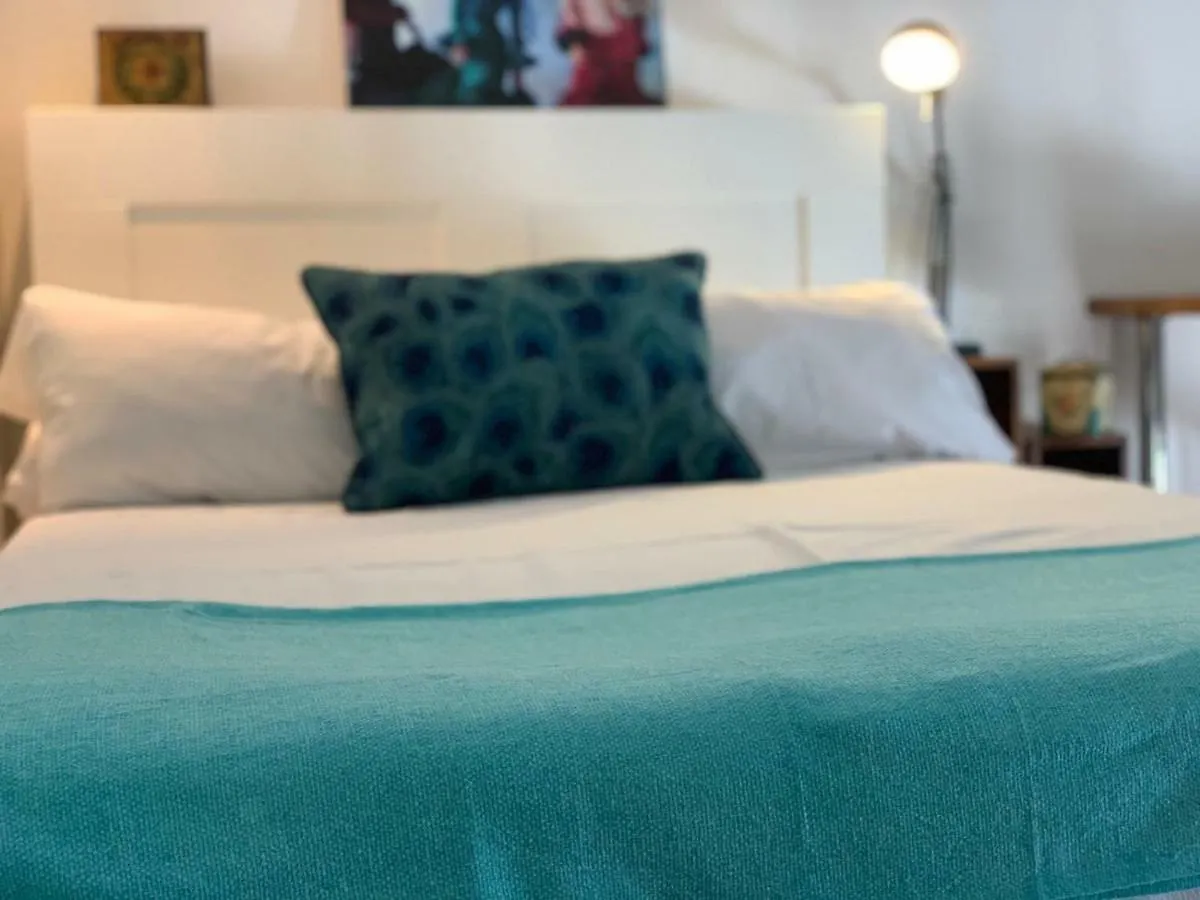 Apartments With Access To Rooftop Terrace Seville
