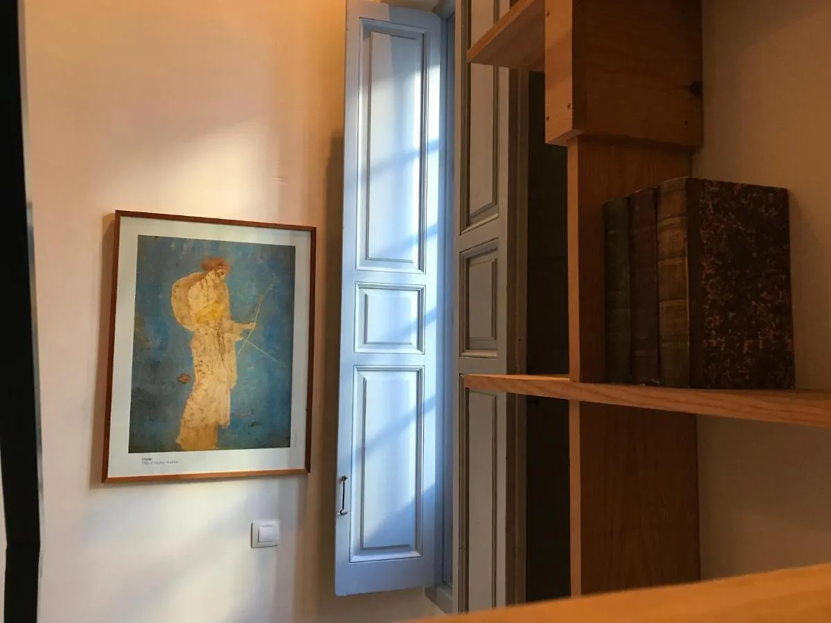 Apartments With Access To Rooftop Terrace Seville
