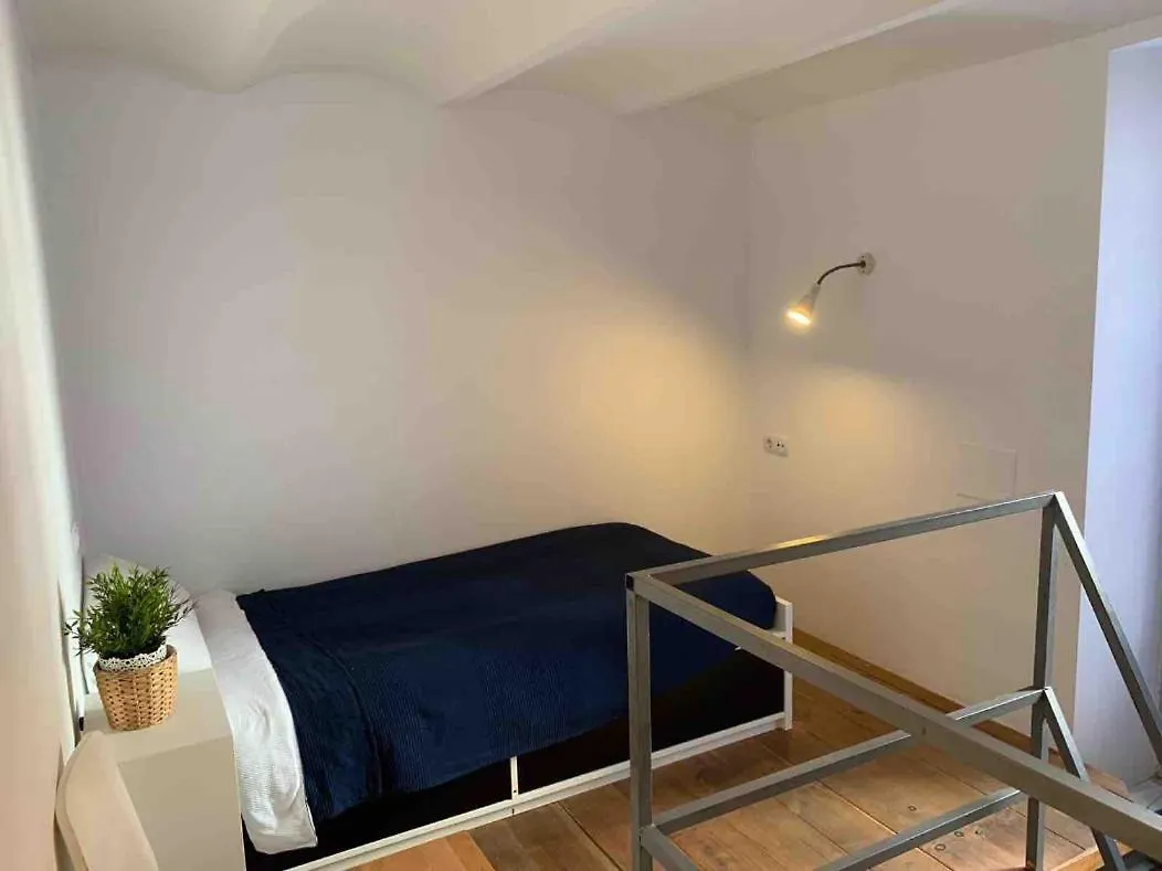 Apartments With Access To Rooftop Terrace Seville